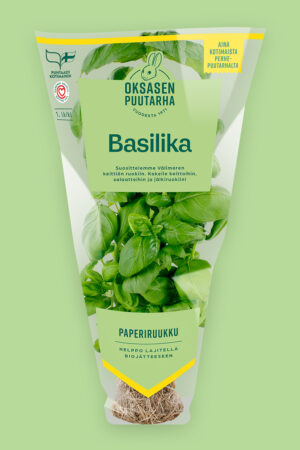 Basilika