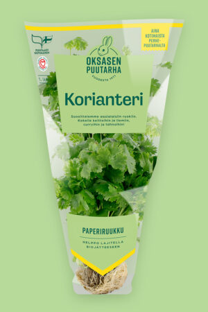 Korianteri