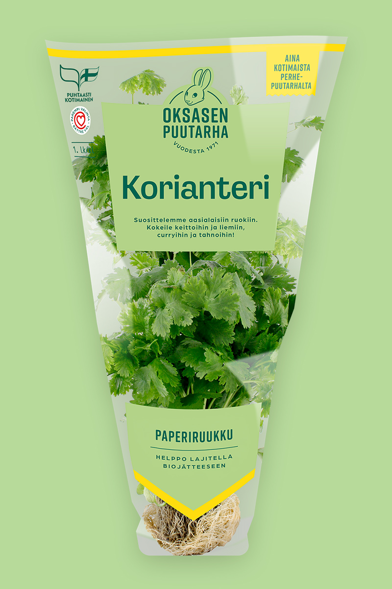 Koriander