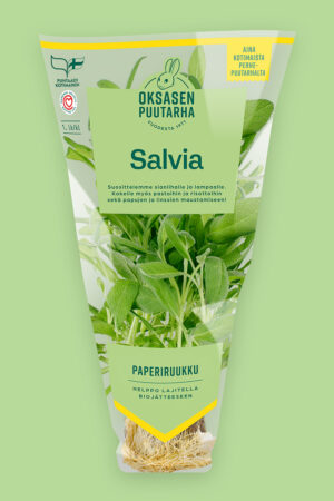 Salvia