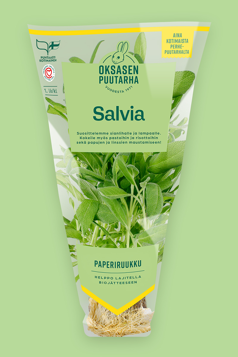 Salvia