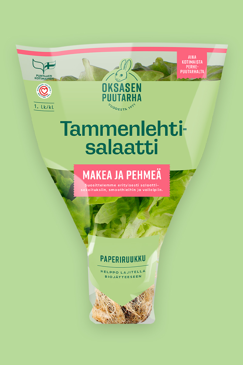 Tammenlehtisalaatti - Ruukku